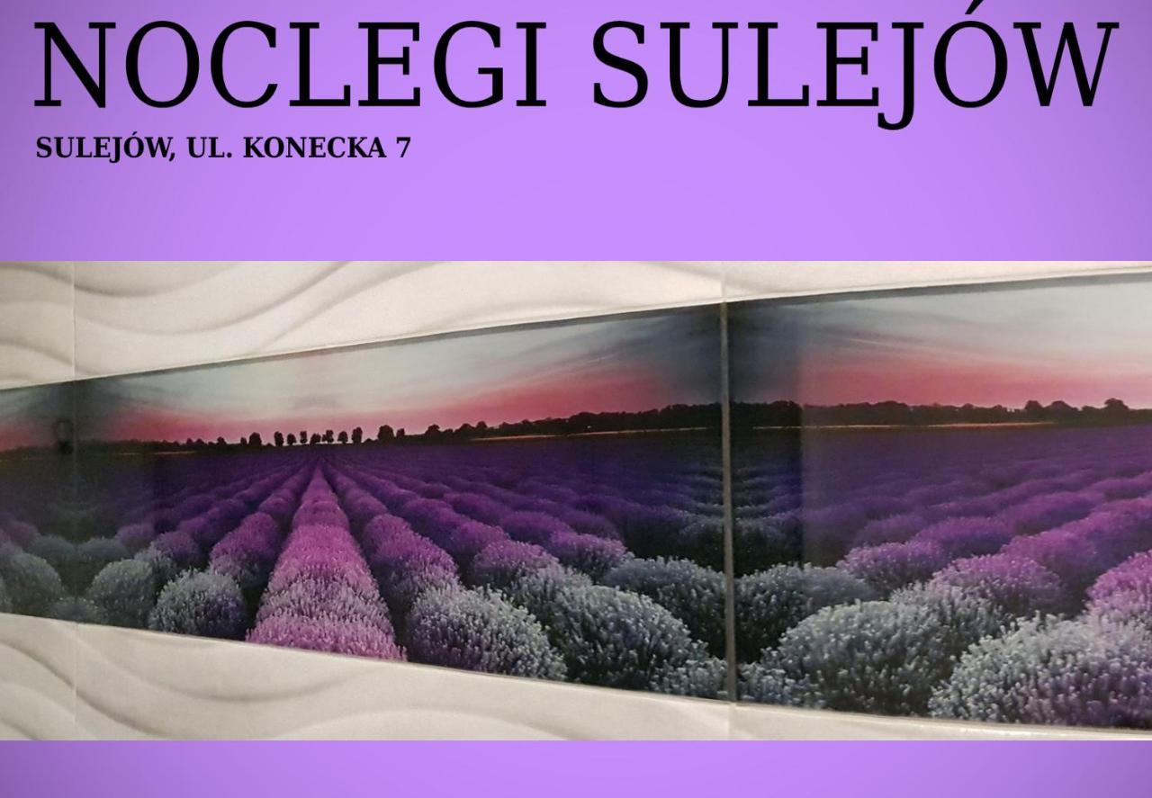 Noclegi Sulejów Exteriér fotografie